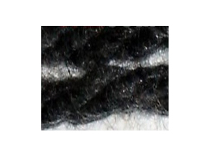 Sợi sợi Carbonized Spun